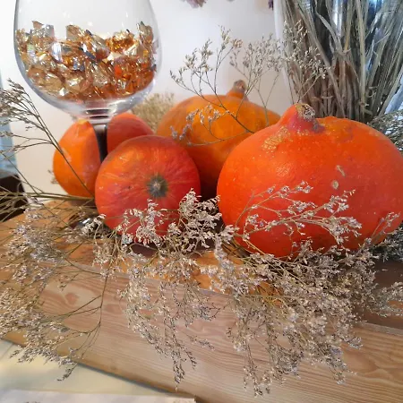 Landhuis Quinta Manhas Douro *