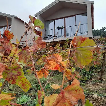 Quinta Manhas Douro * Provesende