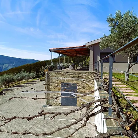 Quinta Manhas Douro * Provesende