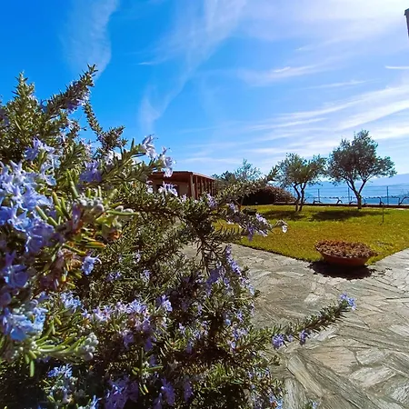 Country house Quinta Manhas Douro Provesende