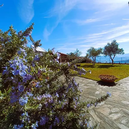 Quinta Manhas Douro Provesende
