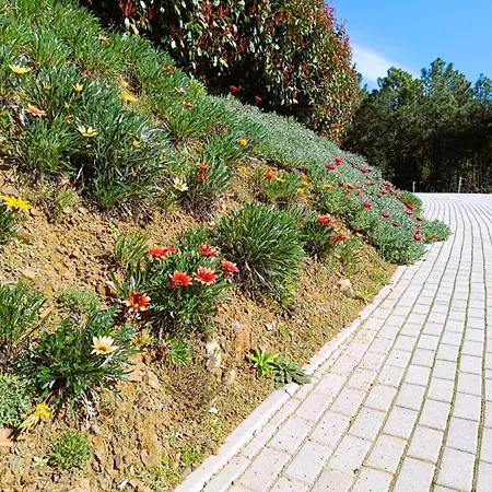 Country house Quinta Manhas Douro Provesende