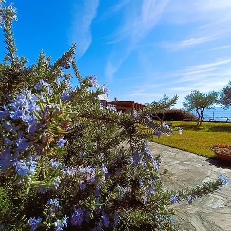 Quinta Manhas Douro Provesende