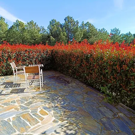 Country house Quinta Manhas Douro