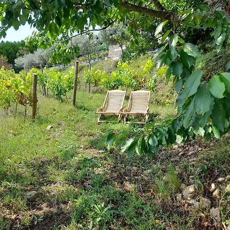 Quinta Manhas Douro Country house *