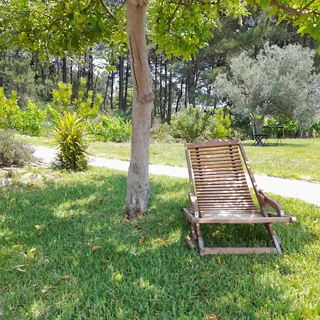 Quinta Manhas Douro *