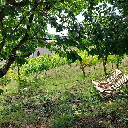 Quinta Manhas Douro Country house *