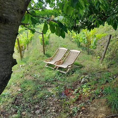 Quinta Manhas Douro Country house *