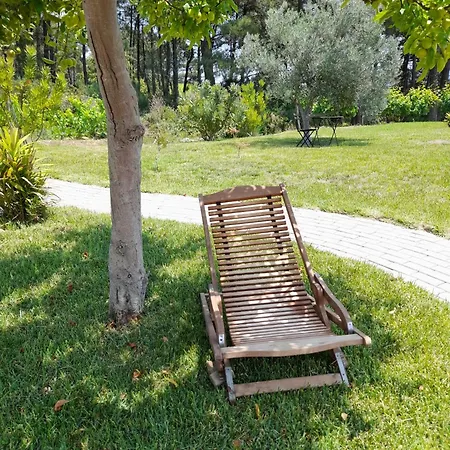 Quinta Manhas Douro Landsted Provesende