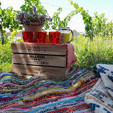 Landsted Quinta Manhas Douro