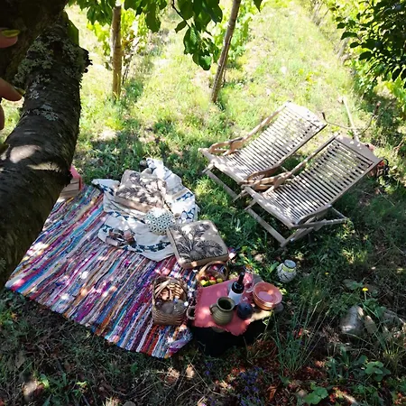 Quinta Manhas Douro Provesende