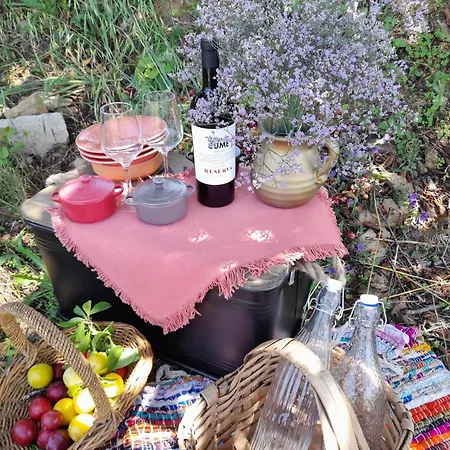 Quinta Manhas Douro *