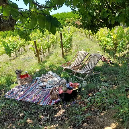 Country house Quinta Manhas Douro Provesende