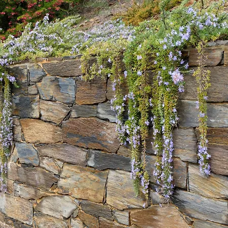 Landhuis Quinta Manhas Douro Provesende