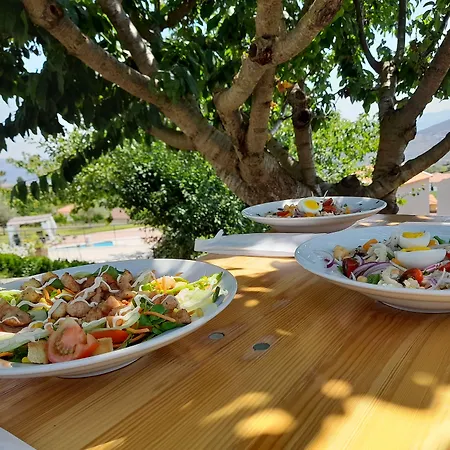 Quinta Manhas Douro Provesende