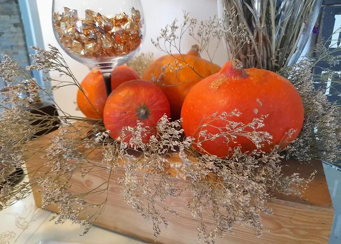 컨트리하우스 Quinta Manhas Douro *