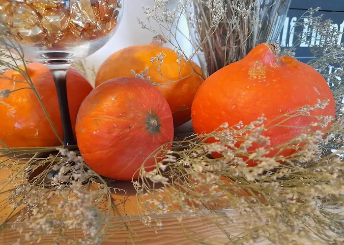 Quinta Manhas Douro 컨트리하우스 *