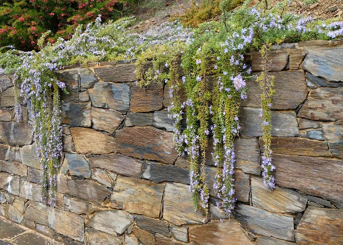 Landhaus Quinta Manhas Douro Provesende