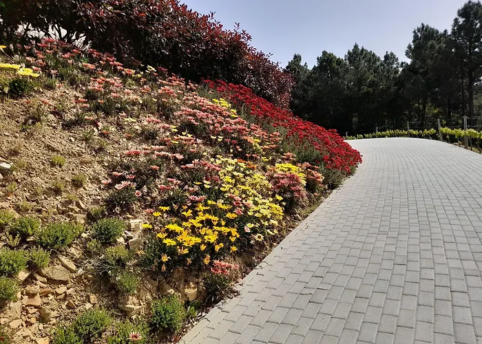 Quinta Manhas Douro Landhaus *