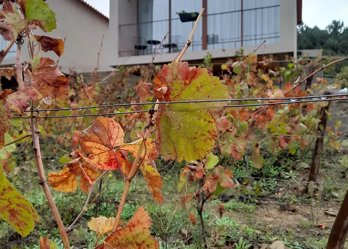 Quinta Manhas Douro 컨트리하우스